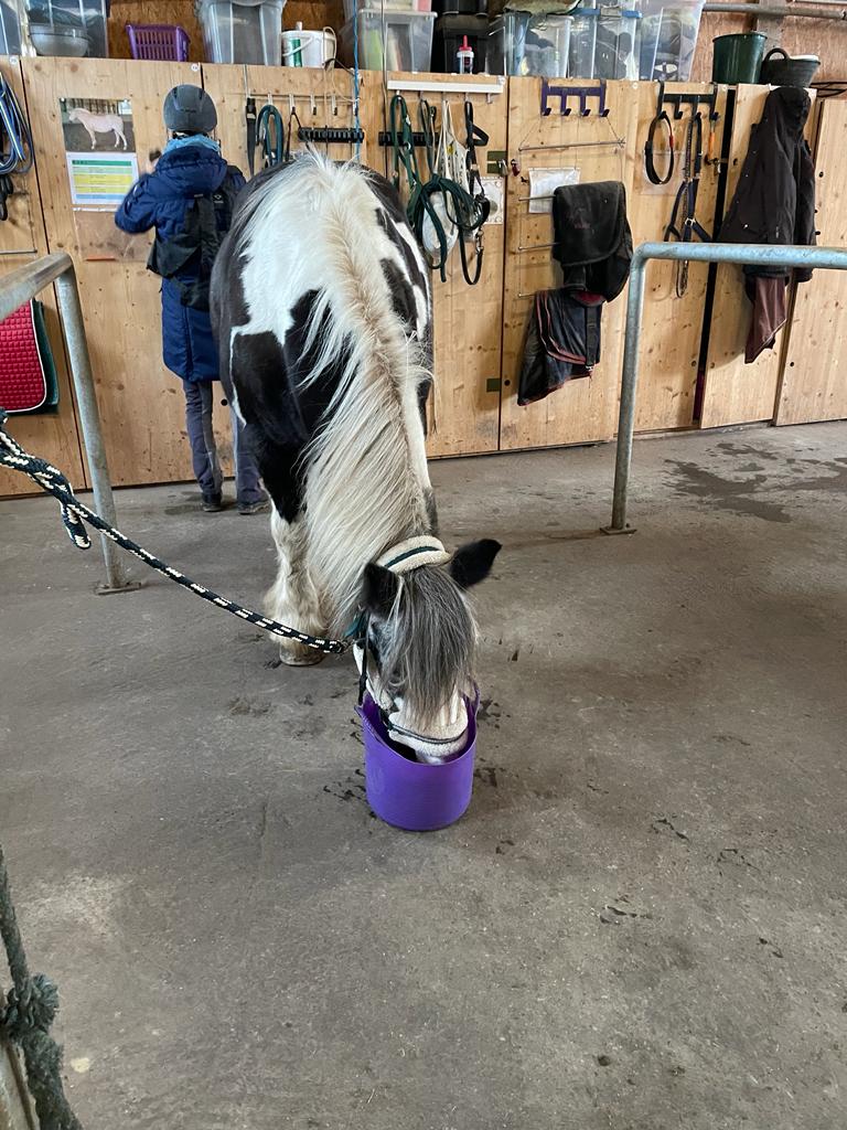 2023 11 November 569